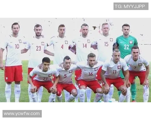 波兰足球球员的崛起与挑战解析以及未来发展展望