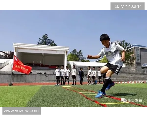 男孩在绿茵场上挥洒汗水追逐梦想足球训练的成长与坚持之路