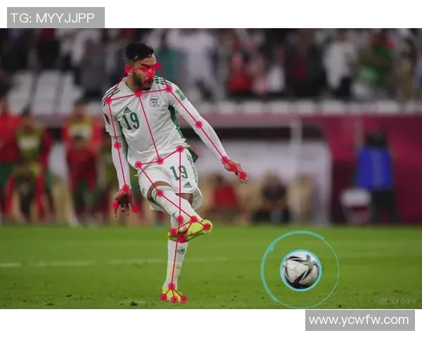 足球左手的奇妙旅程探索与技艺的完美结合与未来的无限可能