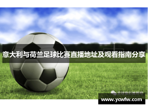 意大利与荷兰足球比赛直播地址及观看指南分享