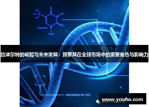 拉波尔特的崛起与未来发展：探索其在全球市场中的重要角色与影响力